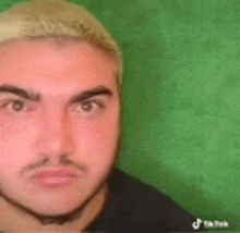 a man with blonde hair and a beard is standing in front of a green background .