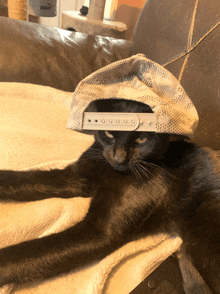 a black cat laying on a couch wearing a white hat