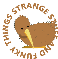 an illustration of a kiwi and the words things strange and funky