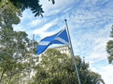 a blue and white flag is flying in the wind in front of trees .