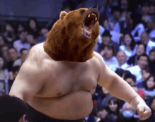 a sumo wrestler with a bear 's head stands in front of a crowd