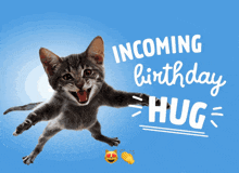 a cat is jumping in the air with the words " incoming birthday hug " behind it