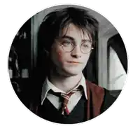 a picture of harry potter with glasses and a red tie