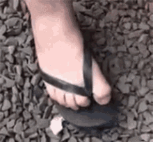 a close up of a person 's foot wearing a pair of flip flops on a pile of rocks .