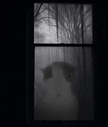 a black and white photo of a cat behind a curtain