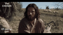 a man with long hair and a beard is sitting in a field with the words the chosen of course not behind him