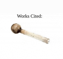 a picture of a pipe with the words works cited underneath it