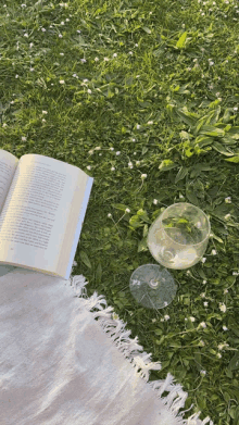 a book and a glass of wine are laying on a blanket in the grass