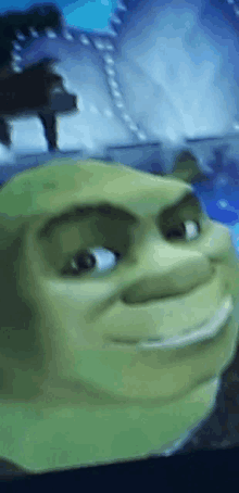 a close up of shrek 's face looking at the camera