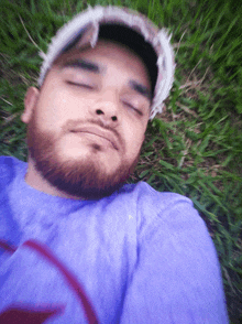 a man with a beard wearing a purple shirt is laying in the grass with his eyes closed