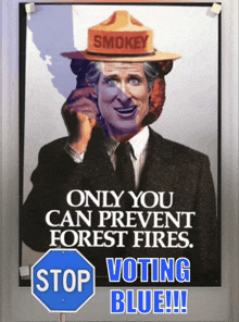 a poster that says " only you can prevent forest fires stop voting blue "