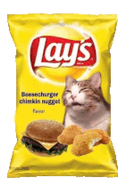 a bag of lay 's potato chips with a cat on it