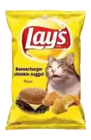 a bag of lay 's potato chips with a cat on it