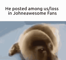 a picture of a dog with a caption that says he posted among us / loss in johne awesome fans