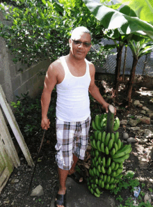 a man in plaid shorts and a white tank top stands next to a bunch of bananas