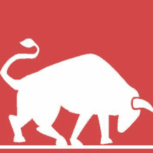 a white bull is standing on a red background and looking down .