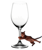 a cat climbs up a wine glass with its paws