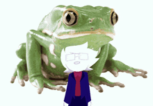 a person standing next to a large green frog with a white head