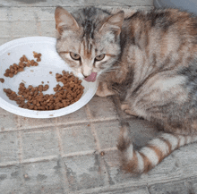 a cat is licking its lips next to a bowl of food