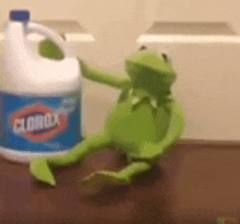 a kermit the frog is sitting next to a clorox bottle .