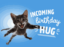 a kitten is jumping in the air with the words incoming birthday hug behind it