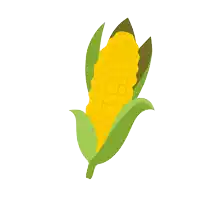 a corn cob with a green leaf on it