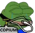 a green frog with a rope around its neck is crying and holding a sign that says copium .