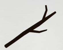 a silhouette of a tree branch with two branches on a white background