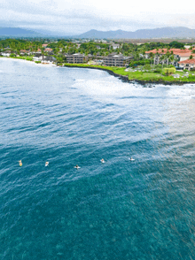 a group of people are surfing in the ocean