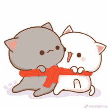 a gray and white cat are hugging each other with a red scarf around their necks .