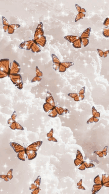 a bunch of butterflies are flying in the air