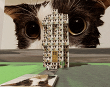 a cat is looking at a building made of cats with a sign that says " no parking "