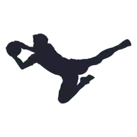 a silhouette of a basketball player jumping to catch the ball