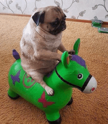 a pug dog is riding on the back of a green bouncy horse .