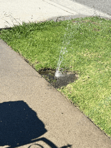 a puddle of water is coming out of a hole in the ground