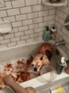 a dog is laying in a bathtub full of blood .