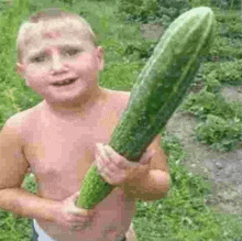 a shirtless young boy is holding a very long cucumber in his hands .