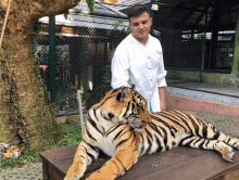 a man standing next to a tiger that is laying on a wooden box