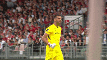 a soccer player wearing a yellow jersey with the number 1 on it stands in front of a crowd .