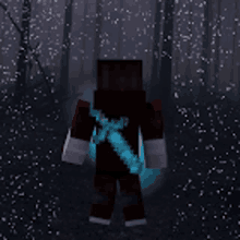 a minecraft character is standing in a dark forest