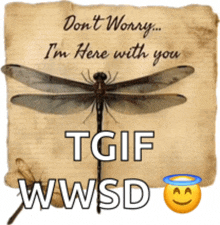 a picture of a dragonfly with the words " don t worry i 'm here with you tgif wwsd "