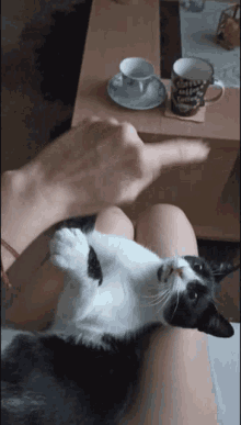 a black and white cat laying on a person 's lap in front of a coffee cup that says " i love coffee "