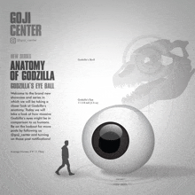 a poster showing the anatomy of a godzilla eye ball