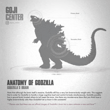 a poster showing the anatomy of a godzilla