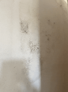 a white wall with black spots on it that looks like a cat