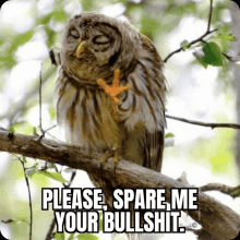 an owl sitting on a tree branch with the words please spare me your bullshit below it