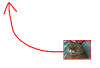 a red arrow points to a picture of a cat sleeping