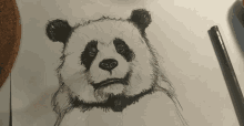 a drawing of a panda bear is on a piece of paper next to a pencil