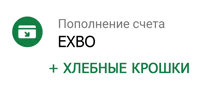 a green circle with the word exbo in the center