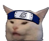 a cat wearing a headband with a naruto symbol on it 's head .